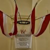 PRAKTYKI ZAGRANICZNE Z ERASMUSEM+ W WIEDNIU ! ! !