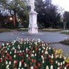 PRAKTYKI ZAGRANICZNE Z ERASMUSEM+ W WIEDNIU ! ! !