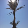 Wawryszczuk Wioletta podczas praktyk w Hotelu Mitsis Rodos Maris Resort&Spa na wyspie Rhodos