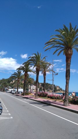 Yevheniia Nazarik na praktykach w Hiszpanii realizuje PROGRAM ERASMUS+ w hotelu Alba Seleqtta, Lloret de Mar 17.06.2016-15.09.2016