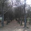 Yevheniia Nazarik na praktykach w Hiszpanii realizuje PROGRAM ERASMUS+ w hotelu Alba Seleqtta, Lloret de Mar 17.06.2016-15.09.2016