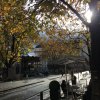 Artem Voitsekh student II roku studiów magisterskich z zarządzania PWSTE na Erasmusie+ w Tezenas du Montcel: 02.09.2016-31.12.2016