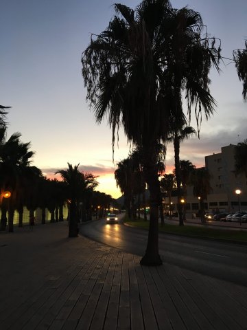 Studentki turystyki i rekreacji PWSTE w Jarosławiu: Yuliia Malohlovets i Maryna Tieriekhova na Politecnica de Cartagena w Hiszpanii spędziły semestr studiów w ramach programu Erasmus+ (19.09.2016 r.-11.02.2017 r.) 