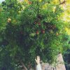 Studentki turystyki i rekreacji PWSTE w Jarosławiu: Yuliia Malohlovets i Maryna Tieriekhova na Politecnica de Cartagena w Hiszpanii spędziły semestr studiów w ramach programu Erasmus+ (19.09.2016 r.-11.02.2017 r.) 