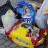 Akcja na rzecz Schroniska dla Bezdomnych Zwierząt w Orzechowcach