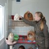Akcja na rzecz Schroniska dla Bezdomnych Zwierząt w Orzechowcach