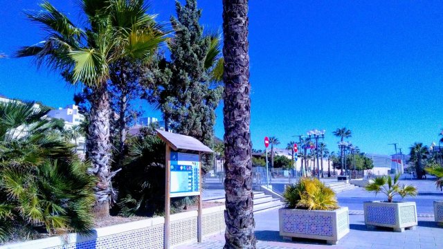 Jola Krasula podczas studiów na Universidad Politécnica de Cartagena z Erasmusem+ w semestrze letnim 2017/2018