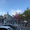 Mariana Puzyniak, studentka filologii angielskiej PWSTE w Jarosławiu podczas semestru letniego 2018/2019 w ramach programu Erasmus+ w portugalskim University of Aveiro