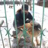 Akcja na rzecz Schroniska dla Bezdomnych Zwierząt w Orzechowcach