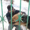 Akcja na rzecz Schroniska dla Bezdomnych Zwierząt w Orzechowcach