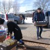 Akcja na rzecz Schroniska dla Bezdomnych Zwierząt w Orzechowcach