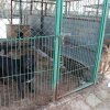 Akcja na rzecz Schroniska dla Bezdomnych Zwierząt w Orzechowcach