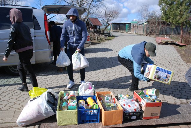 Finał akcji na rzecz bezdomnych zwierząt z Orzechowiec
