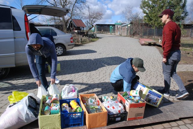 Finał akcji na rzecz bezdomnych zwierząt z Orzechowiec