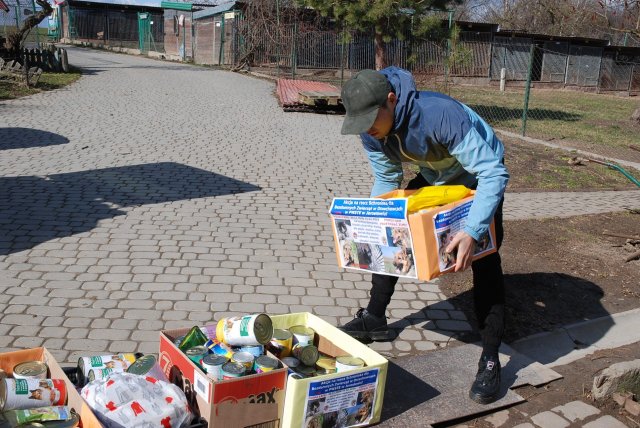 Finał akcji na rzecz bezdomnych zwierząt z Orzechowiec