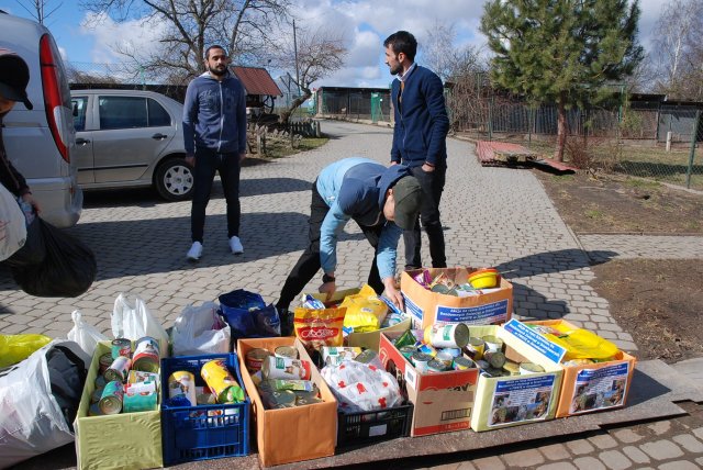 Finał akcji na rzecz bezdomnych zwierząt z Orzechowiec