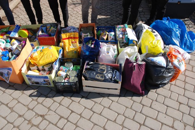 Finał akcji na rzecz bezdomnych zwierząt z Orzechowiec