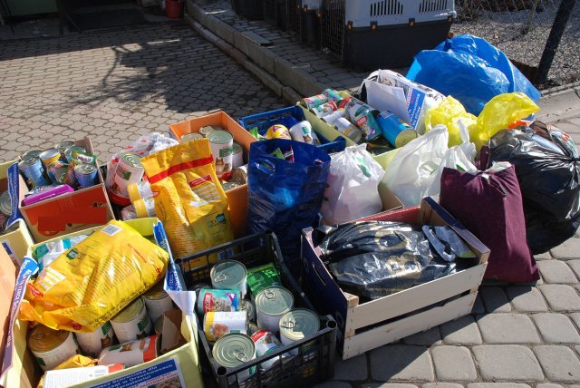 Finał akcji na rzecz bezdomnych zwierząt z Orzechowiec