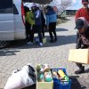 Finał akcji na rzecz bezdomnych zwierząt z Orzechowiec