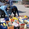Finał akcji na rzecz bezdomnych zwierząt z Orzechowiec