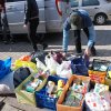 Finał akcji na rzecz bezdomnych zwierząt z Orzechowiec