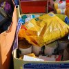 Finał akcji na rzecz bezdomnych zwierząt z Orzechowiec