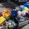 Finał akcji na rzecz bezdomnych zwierząt z Orzechowiec