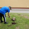 SADZENIE DRZEWA PRZEZ STUDENTÓW Z ZAGRANICY NA TERENIE KAMPUSU PWSTE