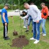 SADZENIE DRZEWA PRZEZ STUDENTÓW Z ZAGRANICY NA TERENIE KAMPUSU PWSTE