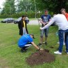 SADZENIE DRZEWA PRZEZ STUDENTÓW Z ZAGRANICY NA TERENIE KAMPUSU PWSTE