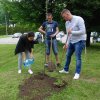 SADZENIE DRZEWA PRZEZ STUDENTÓW Z ZAGRANICY NA TERENIE KAMPUSU PWSTE