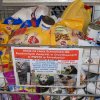 I MIKOŁAJKOWY FINAŁ AKCJI NA RZECZ ZWIERZAKÓW Z ORZECHOWIEC – 16.12.2019 r.