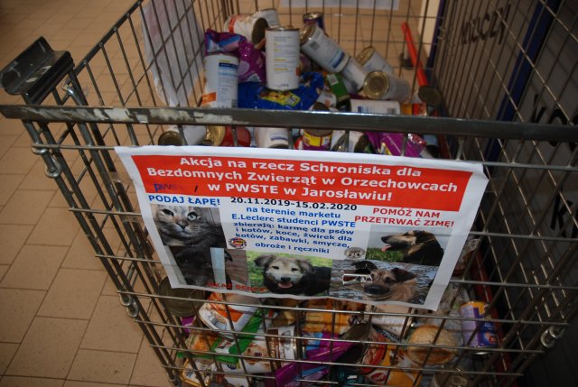 II etap akcji na rzecz kochanych psiaków i kociaków ze Schroniska dla Bezdomnych Zwierząt w Orzechowcach - 30 stycznia 2020 r. 