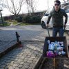 II etap akcji na rzecz kochanych psiaków i kociaków ze Schroniska dla Bezdomnych Zwierząt w Orzechowcach - 30 stycznia 2020 r. 