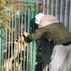 II etap akcji na rzecz kochanych psiaków i kociaków ze Schroniska dla Bezdomnych Zwierząt w Orzechowcach - 30 stycznia 2020 r. 