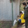 II etap akcji na rzecz kochanych psiaków i kociaków ze Schroniska dla Bezdomnych Zwierząt w Orzechowcach - 30 stycznia 2020 r. 