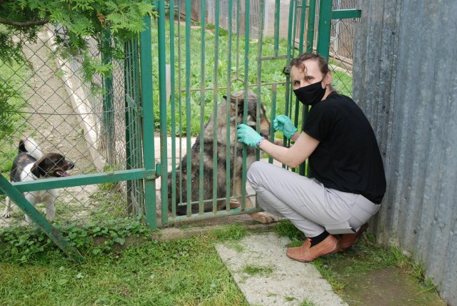 WIZYTA W SCHRONISKU DLA BEZDOMNYCH ZWIERZĄT W ORZECHOWCACH