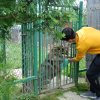 WIZYTA W SCHRONISKU DLA BEZDOMNYCH ZWIERZĄT W ORZECHOWCACH