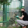 WIZYTA W SCHRONISKU DLA BEZDOMNYCH ZWIERZĄT W ORZECHOWCACH