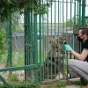 WIZYTA W SCHRONISKU DLA BEZDOMNYCH ZWIERZĄT W ORZECHOWCACH