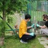 WIZYTA W SCHRONISKU DLA BEZDOMNYCH ZWIERZĄT W ORZECHOWCACH