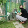 WIZYTA W SCHRONISKU DLA BEZDOMNYCH ZWIERZĄT W ORZECHOWCACH
