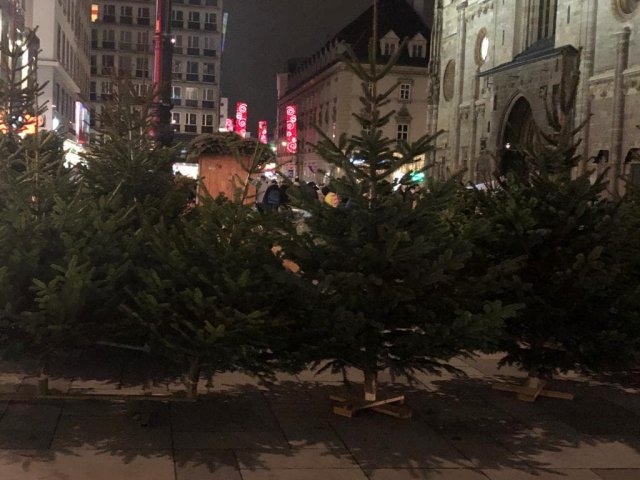 Absolwent PWSTE - Maksymilian Głód na praktykach Erasmus+ w Austrii w Wiedniu