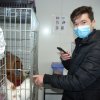 II WIZYTA U KOCHANYCH ZWIERZAKÓW  ZE SCHRONISKA W ORZECHOWCACH - 05.03.2021 r.