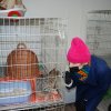 II WIZYTA U KOCHANYCH ZWIERZAKÓW  ZE SCHRONISKA W ORZECHOWCACH - 05.03.2021 r.