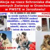 II WIZYTA U KOCHANYCH ZWIERZAKÓW  ZE SCHRONISKA W ORZECHOWCACH - 05.03.2021 r.