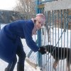WIZYTA U KOCHANYCH ZWIERZAKÓW ZE SCHRONISKA W ORZECHOWCACH - 21.01.2022 r.