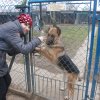 WIZYTA U KOCHANYCH ZWIERZAKÓW ZE SCHRONISKA W ORZECHOWCACH - 03.03.2023 r.