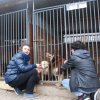 Charytatywna akcja na rzecz Schroniska dla Bezdomnych Zwierząt  w Orzechowcach na terenie kampusu PANS, Delikatesów Piotruś Pan, sklepów SPOŁEM i E.Leclerc w Jarosławiu PRZEDŁUŻONA do 26 KWIETNIA
