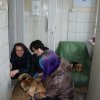 Charytatywna akcja na rzecz Schroniska dla Bezdomnych Zwierząt  w Orzechowcach na terenie kampusu PANS, Delikatesów Piotruś Pan, sklepów SPOŁEM i E.Leclerc w Jarosławiu PRZEDŁUŻONA do 26 KWIETNIA